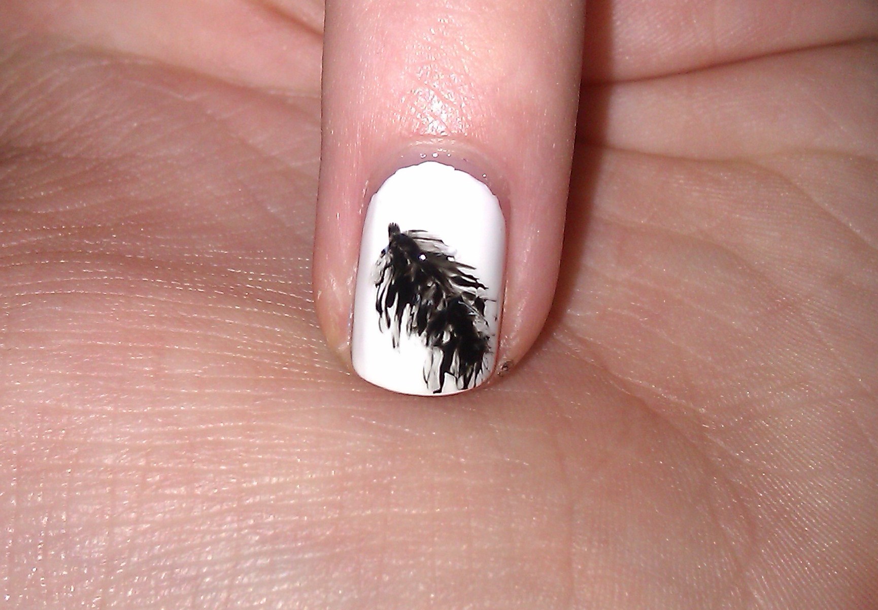 Feather Nail Art Step By Step